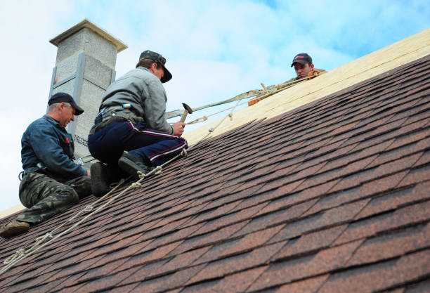 Best Shingle Roofing Installation  in New Orleans Station, LA